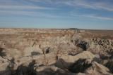 Petrified Forest   2005-03-16
