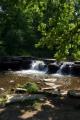 2004-06-06   (Waterfall Glen Forest Preserve)